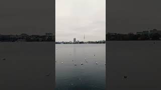 Hamburg jezioro Alster 2024music [upl. by Mit]