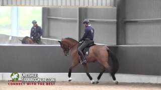 Dressage training with Garreth Hughes How to improve the trot [upl. by Parrie801]