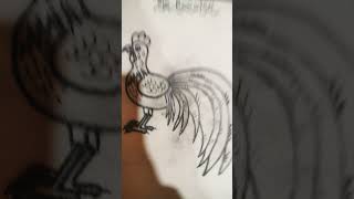 The rooster drawing  viral  YouTube shorts   please like and subscribe to my channel 🙏🥺 [upl. by Eboj]