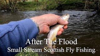 After The Flood Scottish Small Stream Fly Fishing [upl. by Lavine]