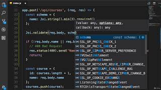 Nodejs 47  Input Validation By Mosh Hamedani [upl. by Blythe]