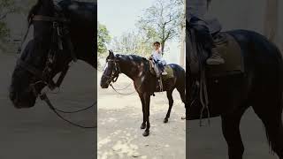 Freedom lover❣️ boy horse riding 😍😍😍kk singertu mujhse phir na ruthna song [upl. by Prevot]