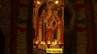 🥺🥺🥺🙏🙏🙏 appanea muruga neea thunai appa om saravana bava🙏🙏🙏🙏🙏🙏l [upl. by Sile]