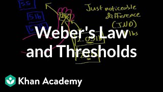 Webers law and thresholds  Processing the Environment  MCAT  Khan Academy [upl. by Kendrah]