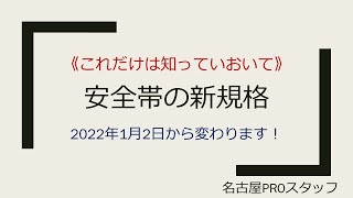 安全帯の新規格 何が変わった？ １級塗装技能士が簡単に解説します。 [upl. by Pulsifer]