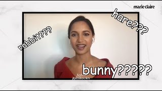 amita suman and the rabbit bunny hare incident [upl. by Eversole]