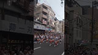 Sting boy Awa Dance Yamato Kanagawa Japan 2024 [upl. by Linus]