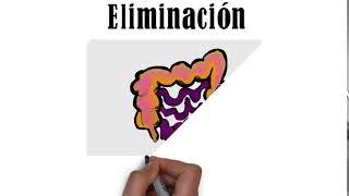 Spanish Medical Interpreter  Spanish Medical Terminology  How to Pronounce Elimination in Spanish [upl. by Alfreda]