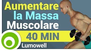 Come Allenarsi a Casa per Aumentare la Massa Muscolare [upl. by Sivia]