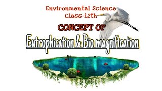 Concept of Eutrophication and Bio magnification  Water Pollution environmentalsciences JKBOse 12 [upl. by Refinaj]