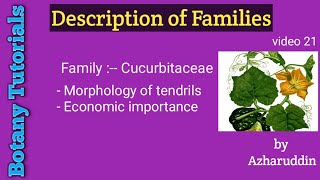 CucurbitaceaeMorphology of tendrils amp Economic importance [upl. by Attennaej982]