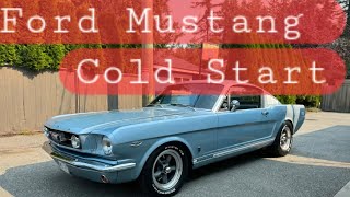 1966 Ford Mustang Cold Start [upl. by Hirsh]