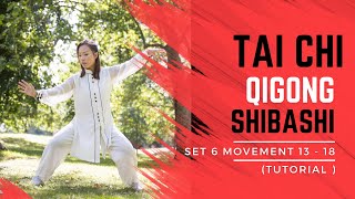 Tai Chi Qigong Shibashi Set 6 Tutorial  Movements 1318  Mirrored version with all the details [upl. by Siloam]