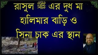 রাসুল ﷺ এর দুধ মা হালিমার বাড়ী ও সিনা চাকের স্থান মাকারিম ৮ [upl. by Alvy414]