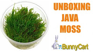 Unboxing Java Moss From BunnyCart [upl. by Ahseer540]