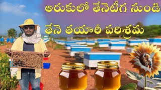 Aruku Pure Honey organic farm in Aruku valley Honey bee Farms at Aruku 2024 [upl. by Rondon]