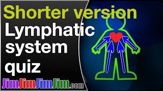 Lymphatic system  a Qitype quiz by a man with locally advanced prostate cancer [upl. by Atinek387]