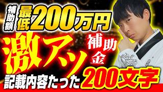 【早い者勝ち】省力化投資補助金の申請が超簡単だったので補助金のプロが解説します [upl. by Baler]