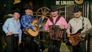 Los Viejones de Linares  Redoblando  Polkas y Huapangos [upl. by Nevah]