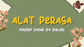 Sistem Peredaran DarahJuvita Tri Lestari [upl. by Viradis]