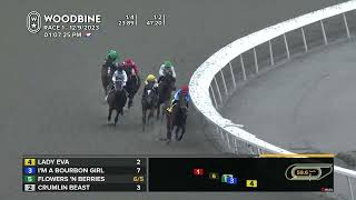 Woodbine Tbred December 9 2023 Race 1 [upl. by Nastassia]