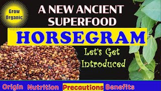 ANCIENT SUPERFOOD Horsegram  Health Benefits  Macrotyloma Uniforum  Precautions  Nutrition [upl. by Lenneuq]