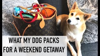 WHATS IN MY DOGS LOUIS VUITTON BAG  PACKING FOR A WEEKEND TRIP  hollyannaeree x eeveeinu [upl. by Aikcin339]