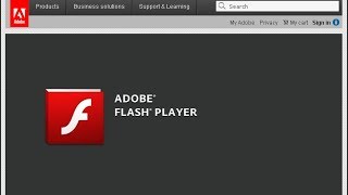 Adobe Flash Player Review [upl. by Ylle717]