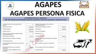 AGAPE PERSONAS FISICAS 2023 ACTUALIZADO [upl. by Christean]