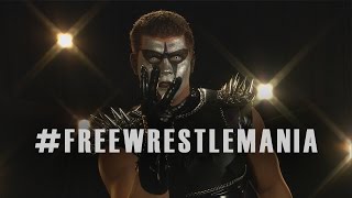 Can Stardust watch FreeWrestleMania in The Fifth Dimension [upl. by Helve]