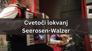 Cvetoči lokvanj  SeerosenWalzer Alpski Muzikantje  Melbourne oberkrainer accordion [upl. by Asilad273]