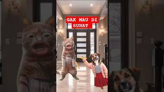 GAK MAU DI SUNAT countryballs memes countryhumans duet funny flipaclip kartun kucing [upl. by Burnight602]