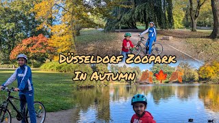 Cycling Through Düsseldorf’s Zoopark in Autumn [upl. by Gardener]