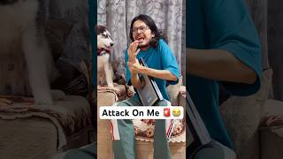 Dog Vs Owner shorts dog husky trendingsongs kaathumela [upl. by Okihsoy]