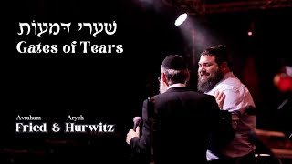 Avraham Fried and Aryeh Hurwitz sing Shaarei Dmaos שערי דמעות אברהם פריד [upl. by Arlena]