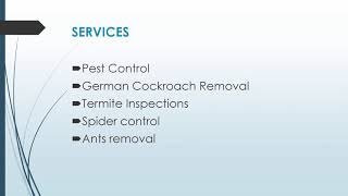 Best Spider control Services in Kingswood [upl. by Nyladgam]