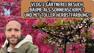 VLOG 2 Gärtnerei Besuch  Dachgezogene Bäume und tolle Herbstfärbung [upl. by Godiva170]