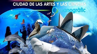 OCEANOGRÀFIC VALENCIA quotBELUGASquot quotDELFINESquot quotTIBURONESquot REVIEW 2020 [upl. by Esinet]