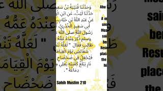 Prophet Muhammad PBUH  Sahih Muslim 210  shorts [upl. by Irme]