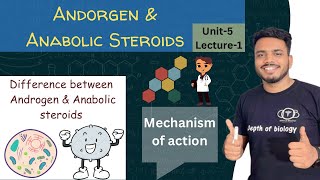 Androgen and Anabolic steroid  Androgen mechanism of action  Anabolic steroid mechanism of action [upl. by Anastase]