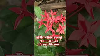 বাড়ীর আর্থিক অবস্থা খারাপ হলে এই প্রতিকার টি করুন bajrangbali টোটকা jayshreeram হনুমানজী facts [upl. by Vitale]