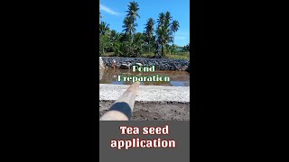 TEA SEED APPLICATION POND PREPARATION amp CONDITIONING TIPS amp IDEAS [upl. by Orsola]