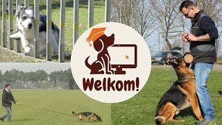 Online hondenschool  Gratis cursus honden trainen [upl. by Ettenawtna]