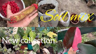 Soil mix for philodendronmero naya collection🪴 ajvlog4128 [upl. by Nevar]