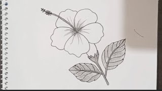 Joba ful drawing l How to draw Hibiscus flower easy [upl. by Alamaj]