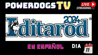 Powerdogs Tv Iditarod 2024 Resumen día 12 [upl. by Illah]