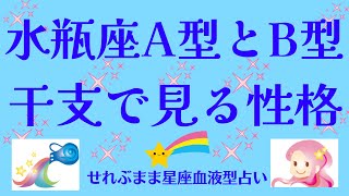 星座×血液型と干支で見る性格 水瓶座A型、B型編 星座占いと血液型占いでわかる 性格とあの人との相性 せれぶまま星座血液型占い [upl. by Nodnelg]