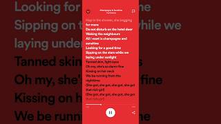 PLVTINUM Champagne amp Sunshine  Lyrics [upl. by Kendrick462]