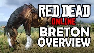 Breton Overview  Red Dead Online Horses  Red Dead Redemption 2 [upl. by Aubyn]