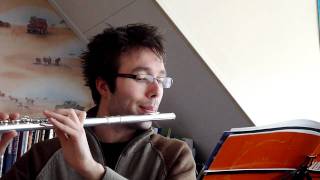 Houtblazer flute embouchure example [upl. by Oilalue311]